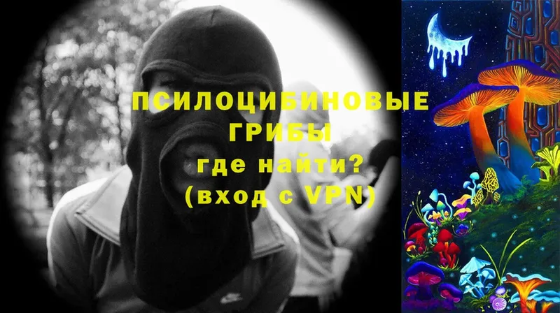 Псилоцибиновые грибы MAGIC MUSHROOMS  ОМГ ОМГ зеркало  Чехов 